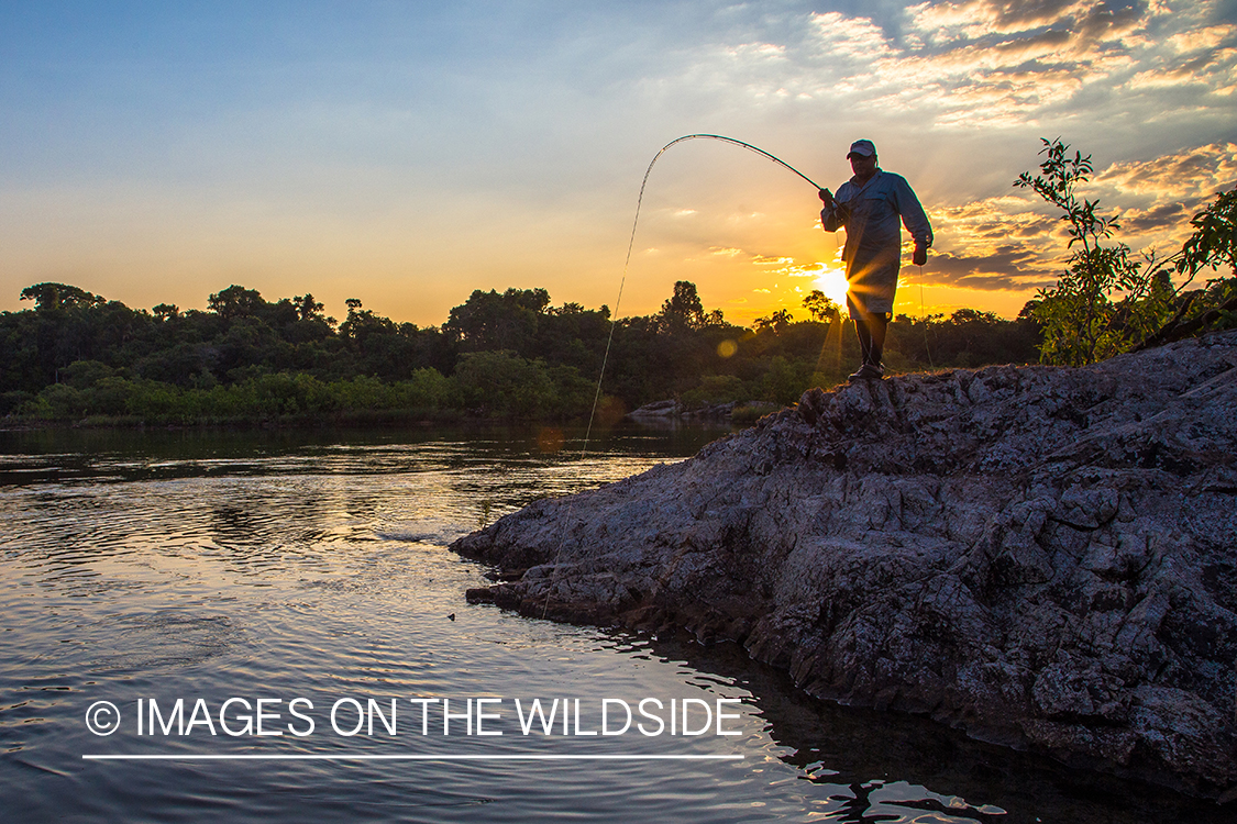 Flyfisherman fighting with fish in Kendjam region, Brazil.