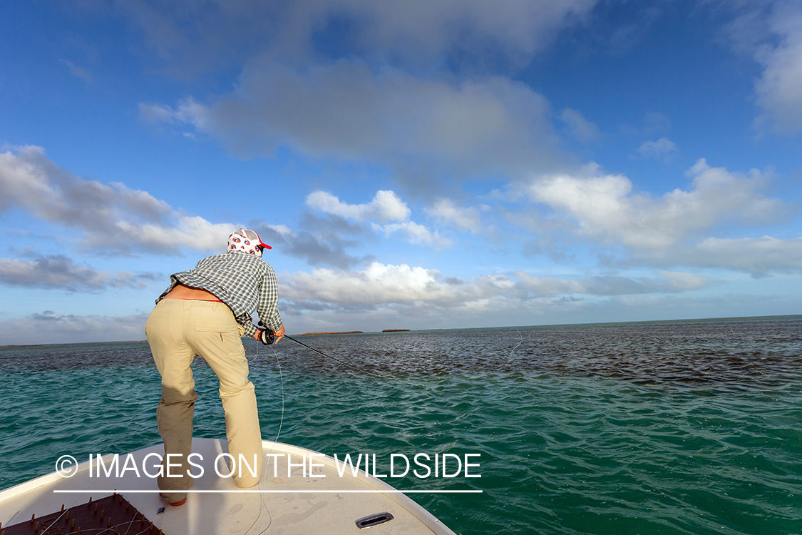 Saltwater flyfisherman casting from boat.