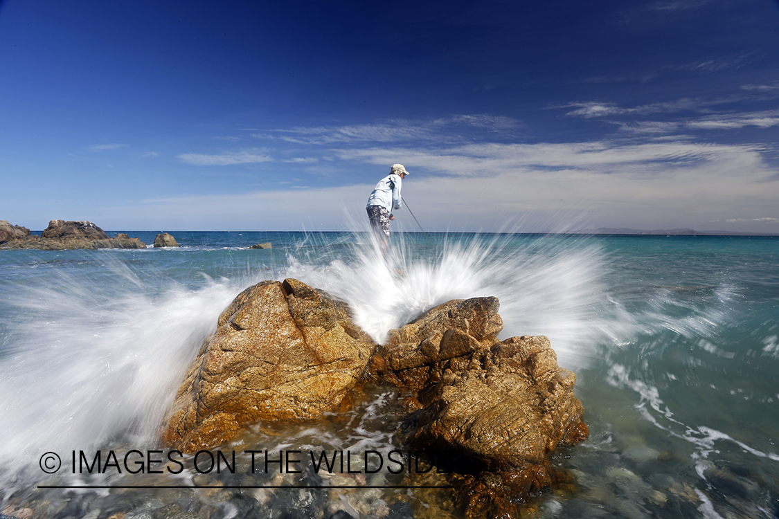 Flyfisherman fishing for roosterfish on beach.