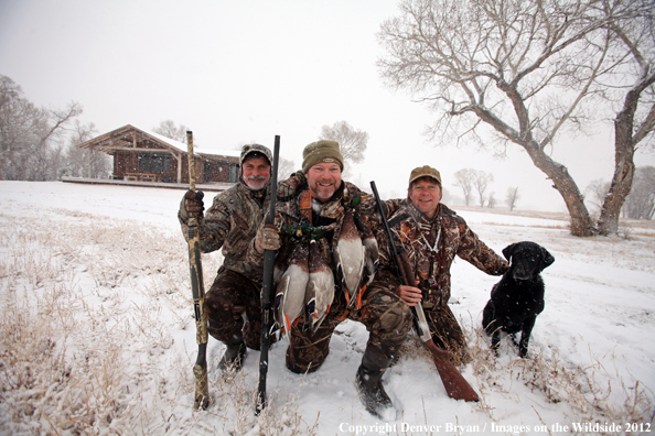 Duck hunters with mallards and black labrador retriever.  