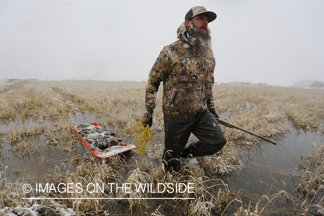 Duck hunter with bagged mallards in winter snow conditions.