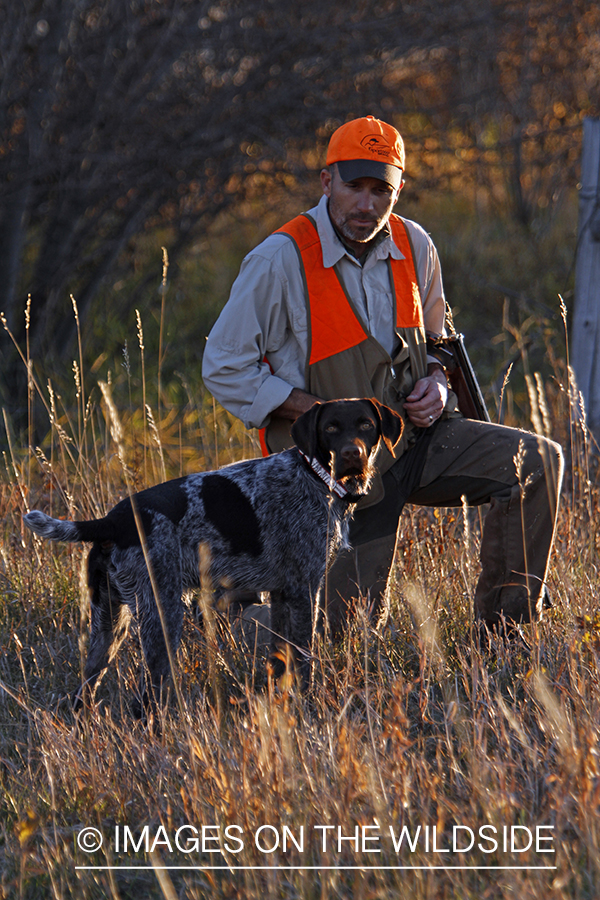 Upland game bird hunter in field with Griffon Pointer.