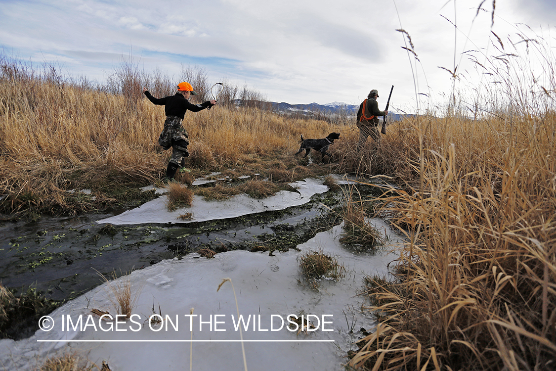 Father and son pheasant hunting.