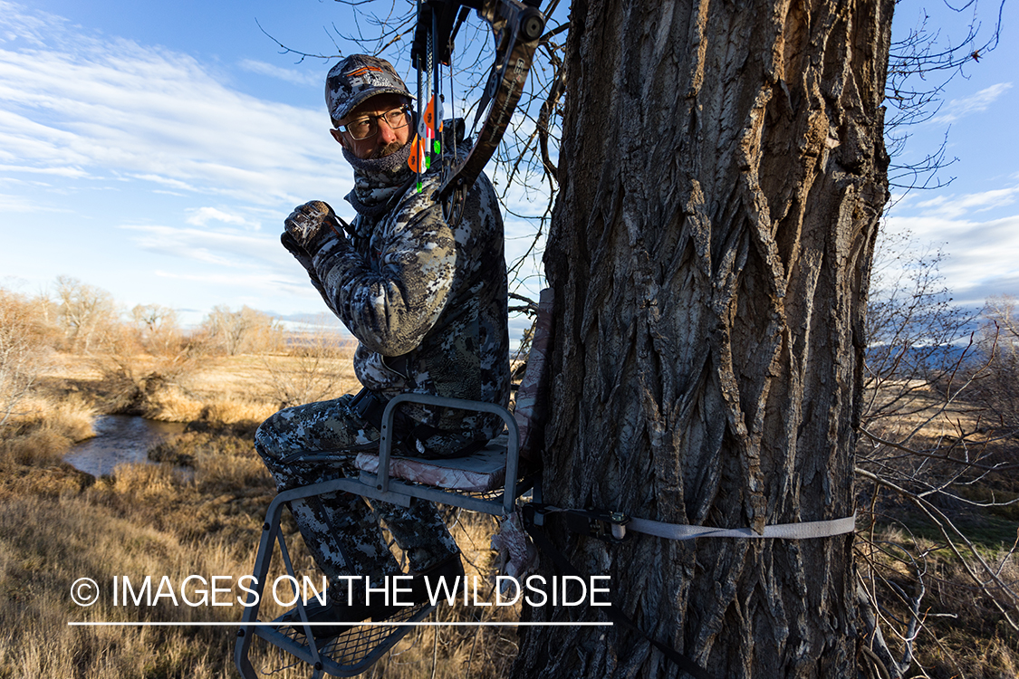 Bow hunter in tree stand looking.