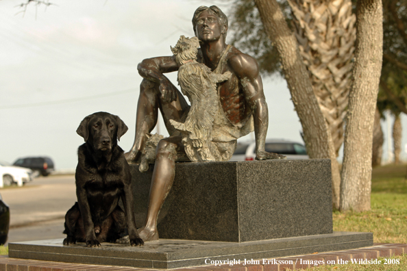 Black Labrador Retriever sitting by statue