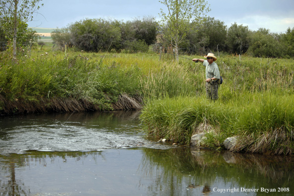 Flyfisherman fishing stream 