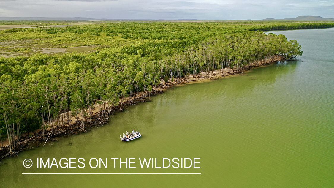 Saltwater flyfishing for barramundi in Australia.