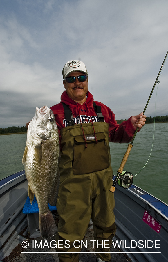 Flyfisherman with drum fish.