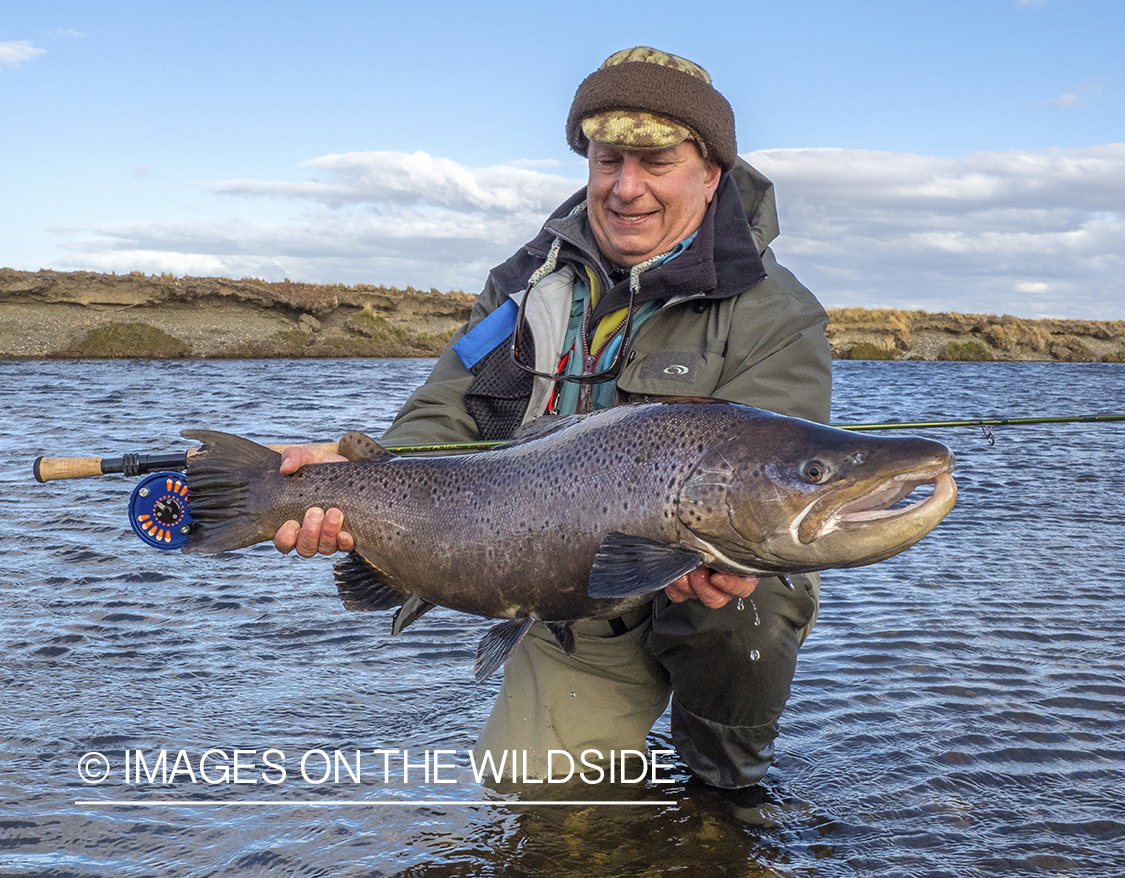 Flyfisherman with sea run brown trout.