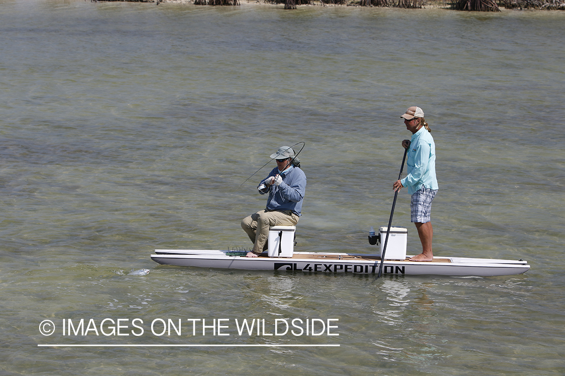 Flyfisherman fighting bonefish.