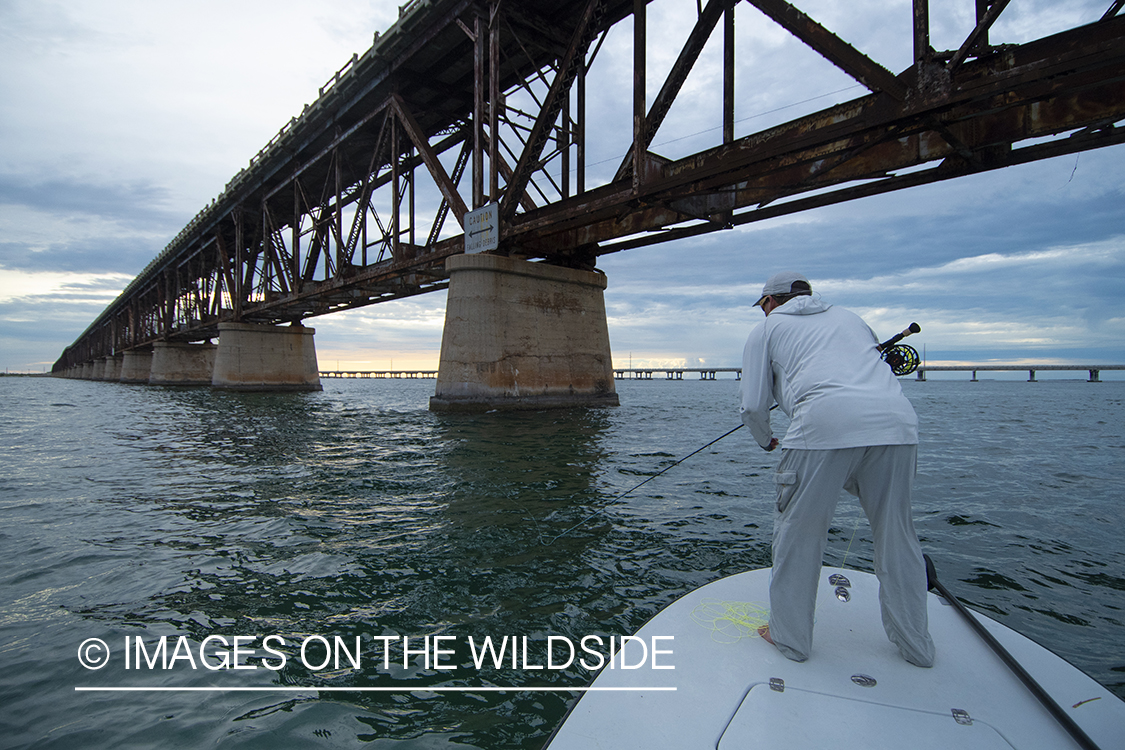 Flyfisherman casting from flats boat.