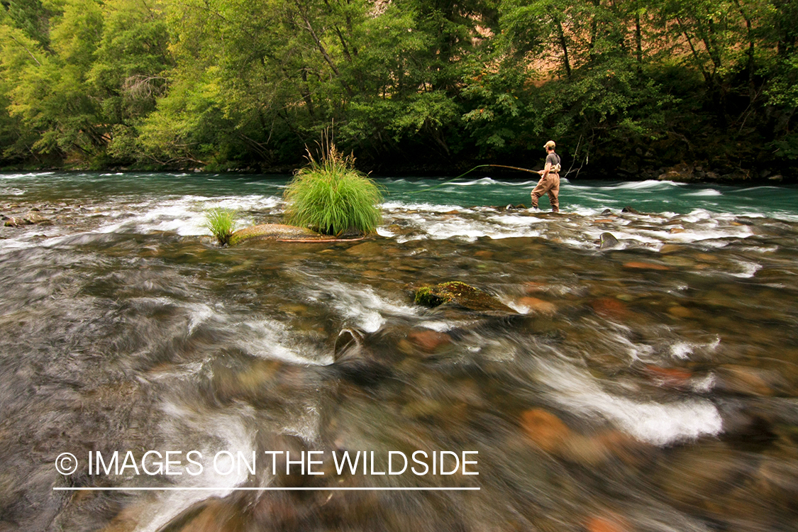 Flyfisherman on river. 