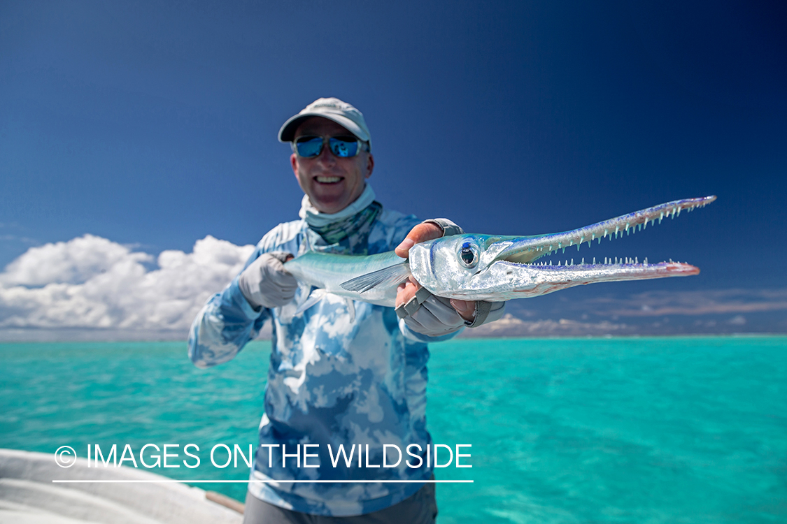 Flyfisherman with needlefish. 