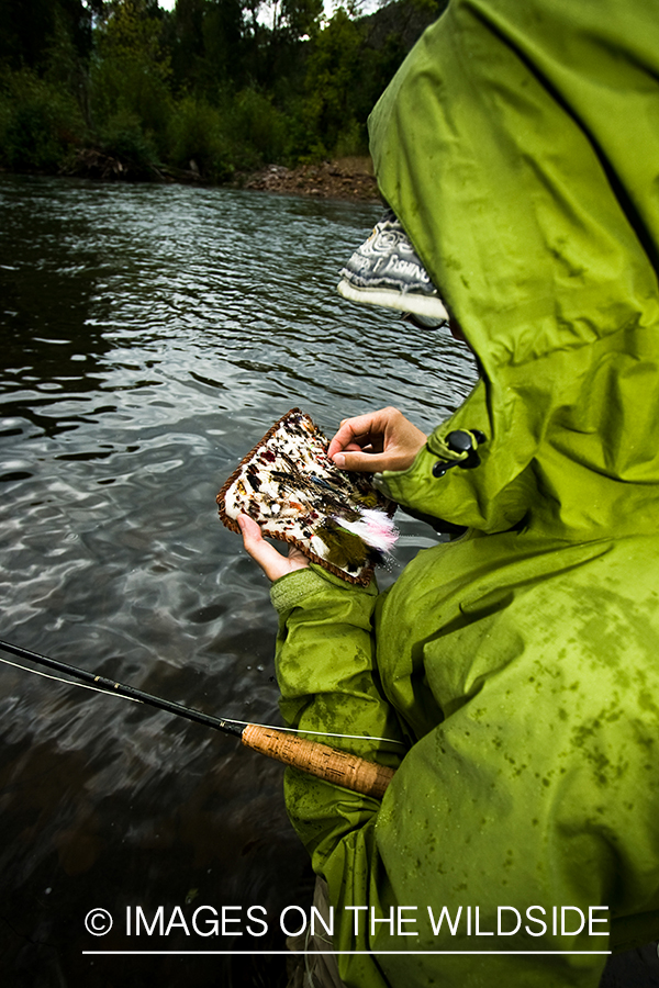 Flyfisherman selecting fly from box. 