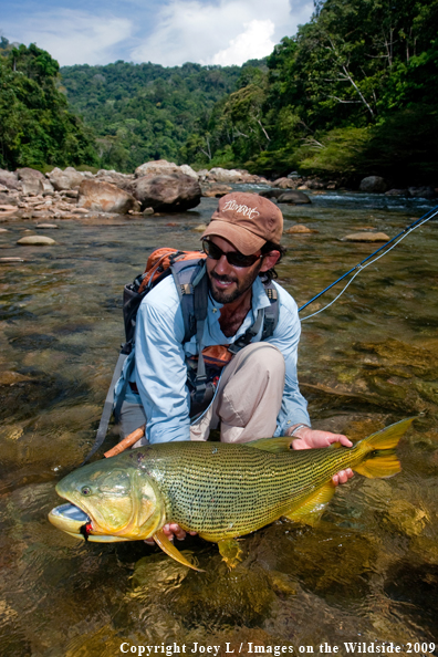 Flyfisherman with Golden Dorado