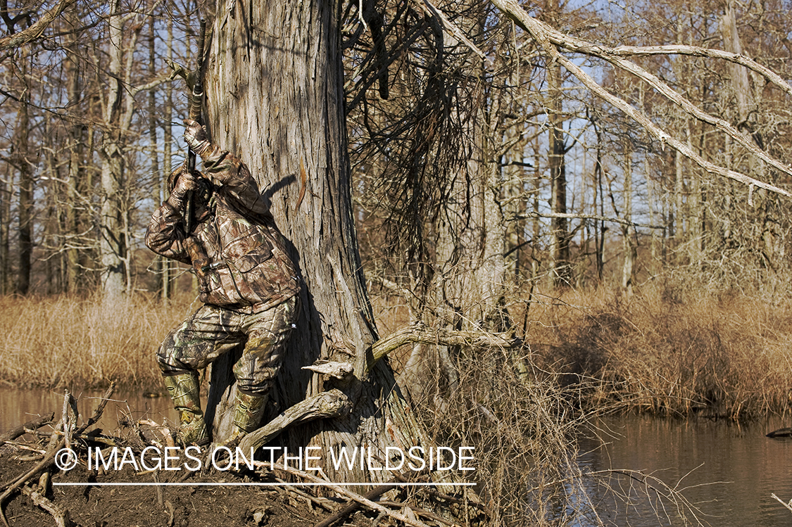 Waterfowl hunter taking aim in wetlands.