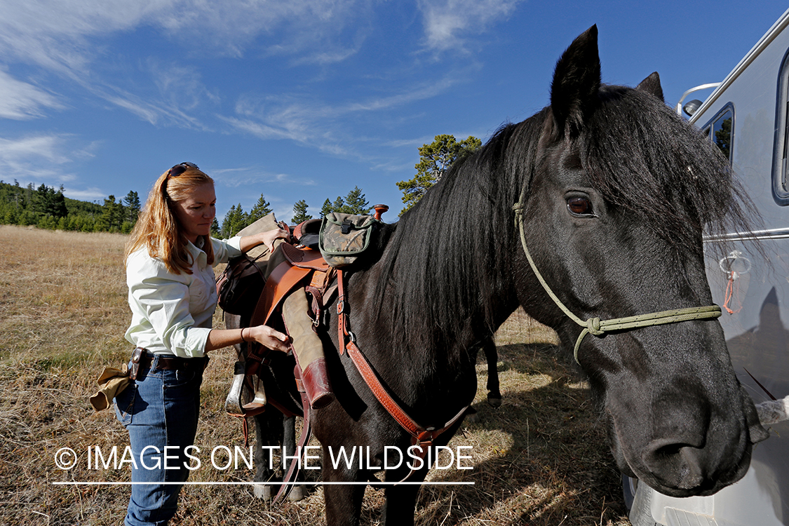 Upland game bird hunter with horse.