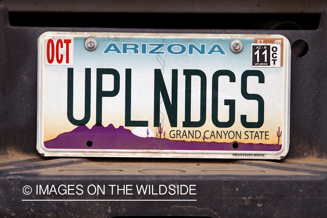 Quail hunter's license plate.