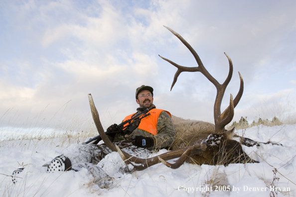 Elk hunter with downed elk.