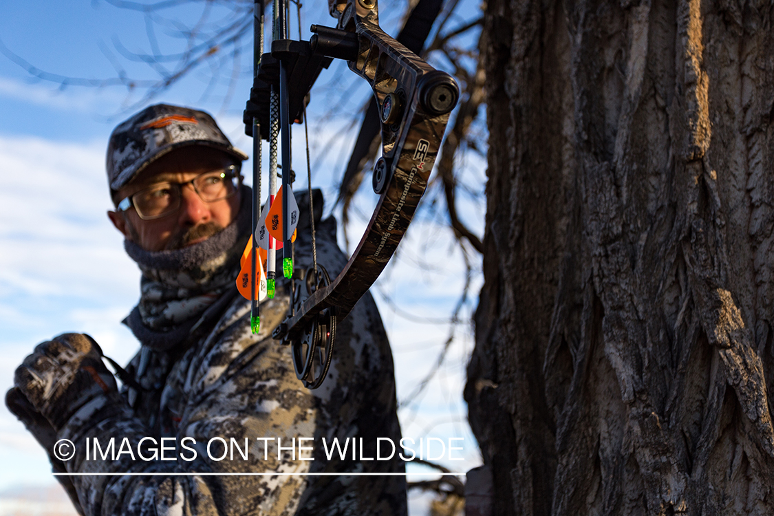 Bow hunter in tree stand looking.