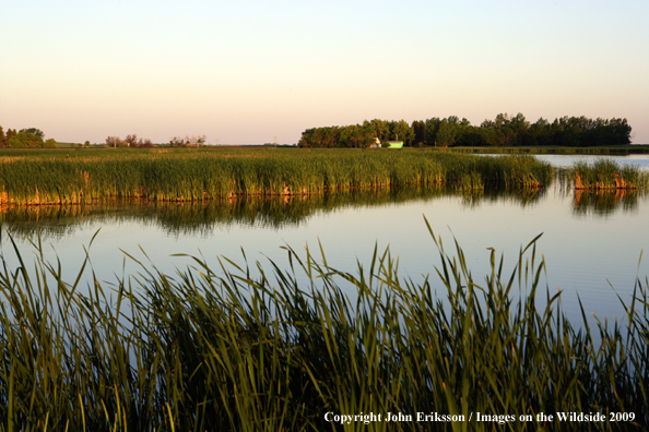 Wetlands on National Wildlife Refuge