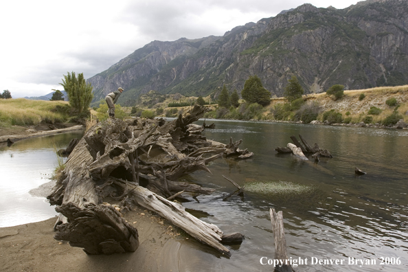 Flyfisherman scouting river from log on bank.