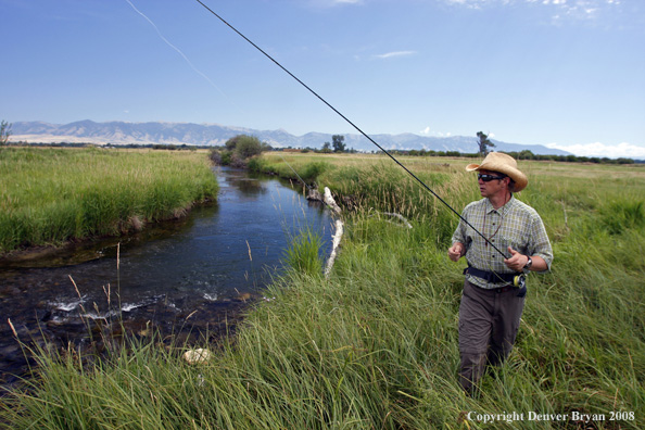 Flyfisherman fishing stream 