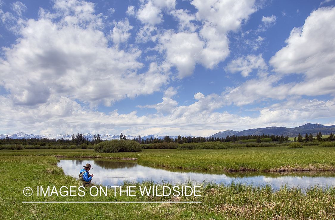 Flyfisherman on banks of Duck Creek in Montana.