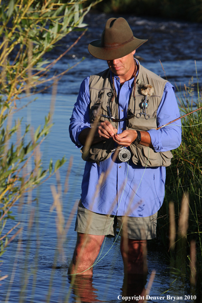 Flyfisherman landing rainbow trout