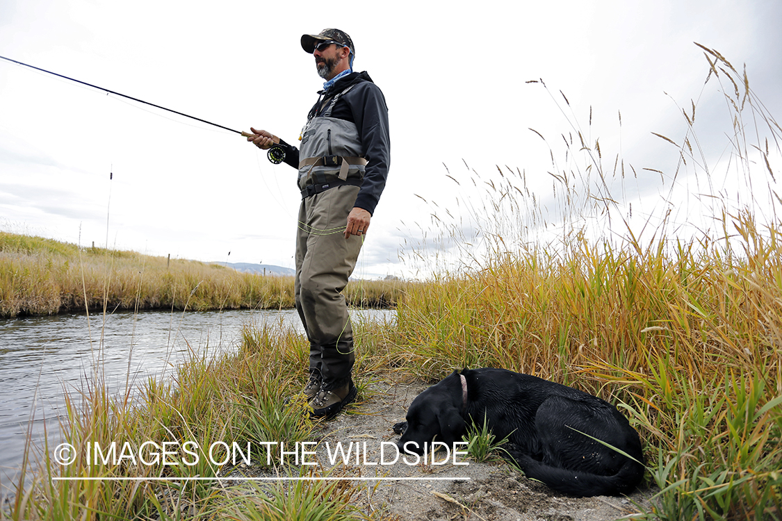 Flyfisherman on river with black lab.