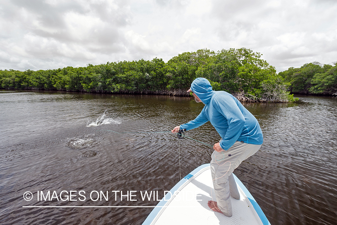 Flyfisherman landing tarpon.