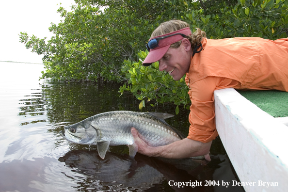 Flyfisherman releasing tarpon 