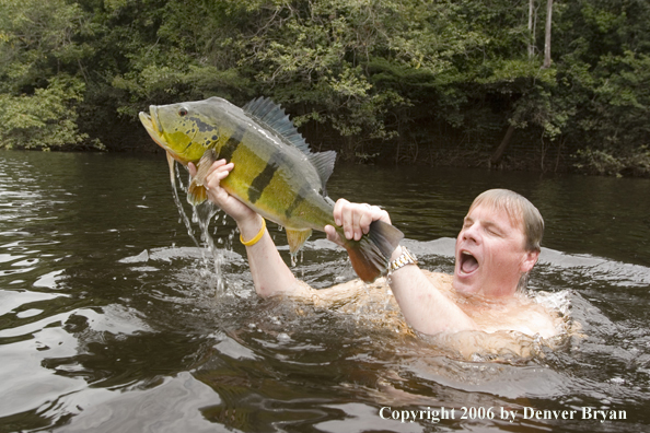 Fisherman holding Peacock Bass