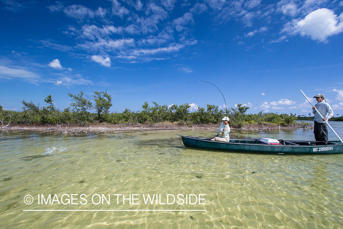 Flyfishing woman fighting fish from boat.