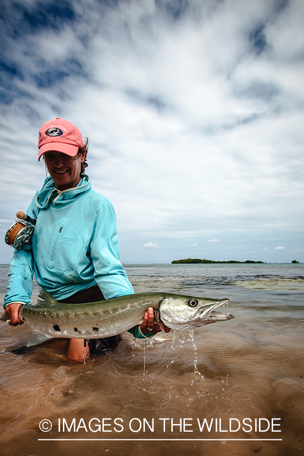 Flyfishing woman releasing barracuda.