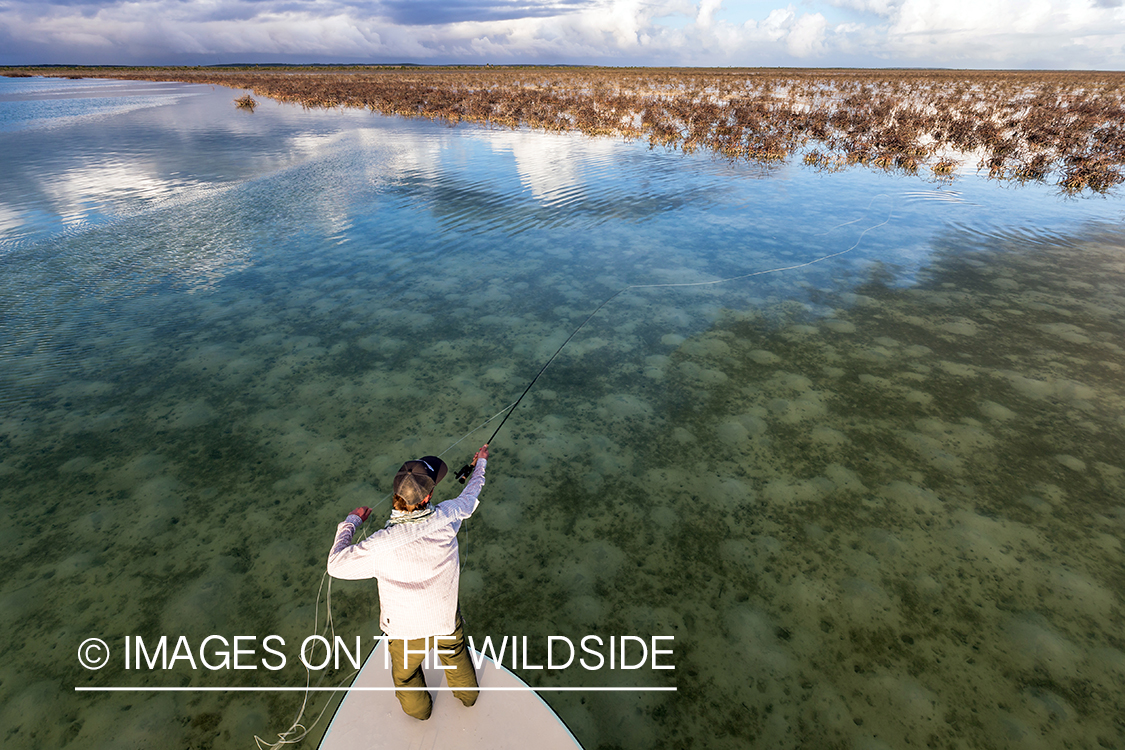 Saltwater flyfisherman casting from boat.