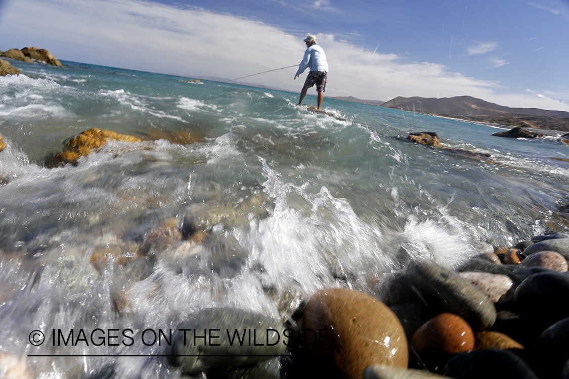 Flyfisherman fishing for roosterfish on beach.