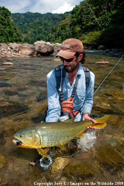 Flyfisherman with Golden Dorado