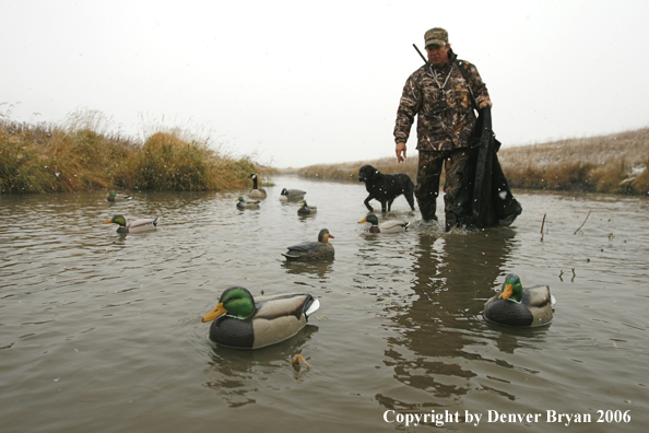 Duck hunting in winter