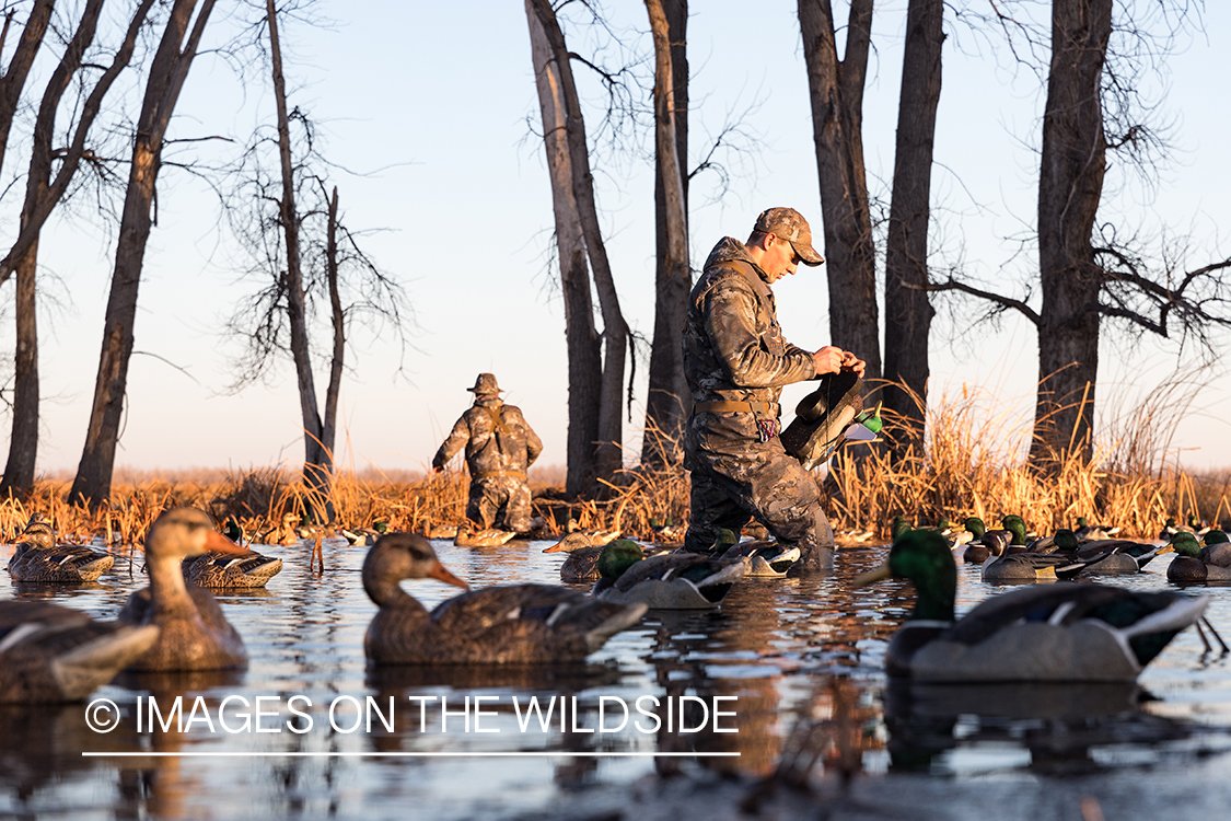 Waterfowl hunting