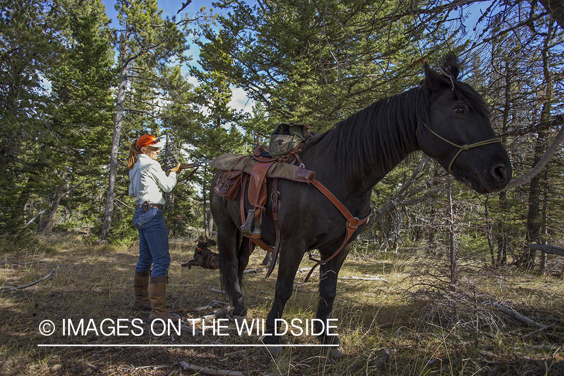 Upland game bird hunter with horse.