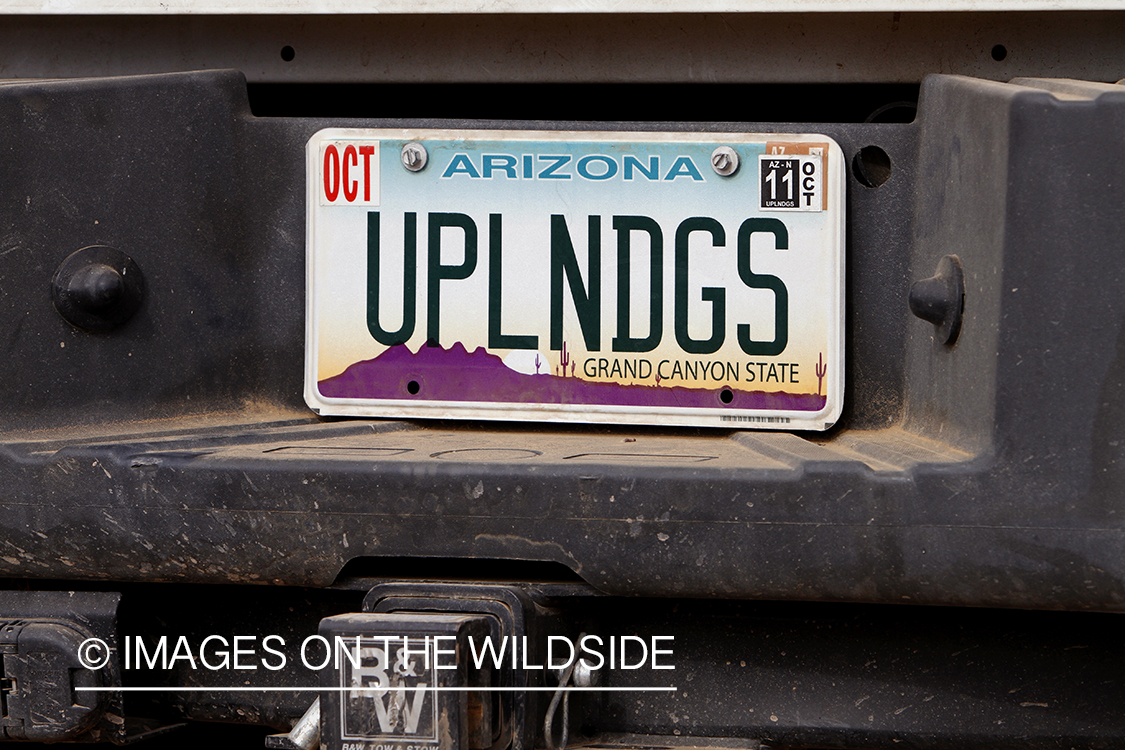 Quail hunter's license plate.