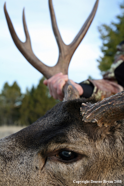 Hunters in field