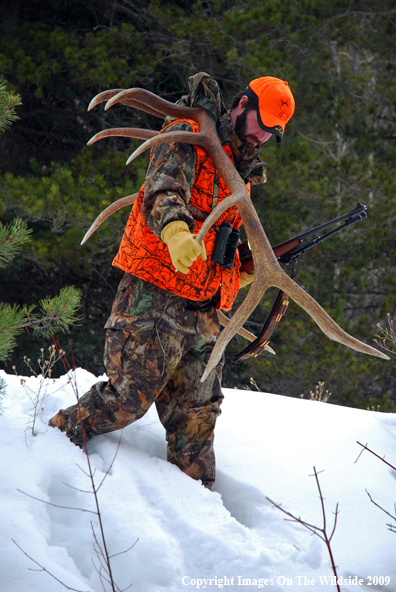 Hunter with Elk Antlers