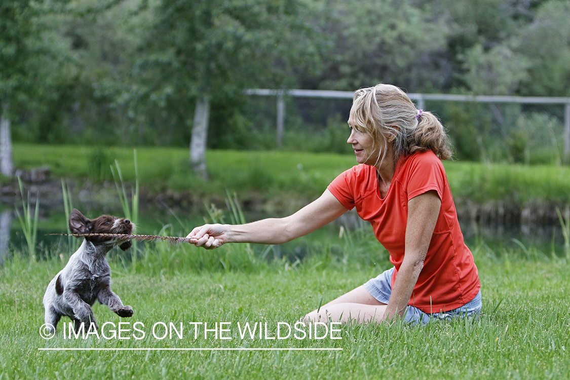 Puppy and owner playing.