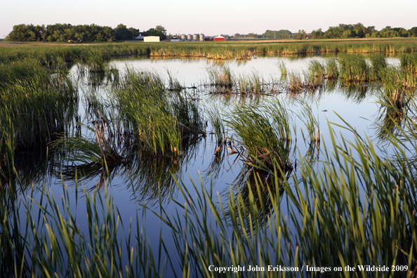 Wetlands on National Wildlife Refuge