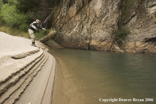 Flyfisherman casting from shore.