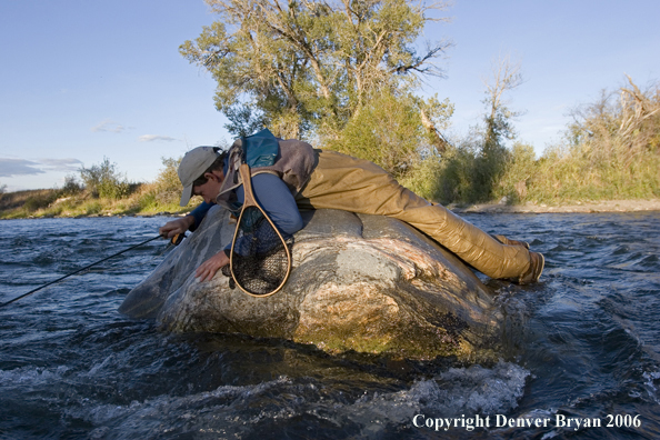 Flyfisherman on the river with waders full of water.  