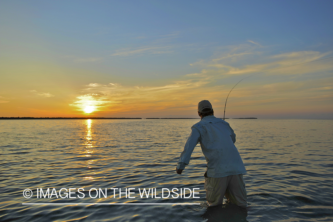 Saltwater flyfisherman casting in flats.