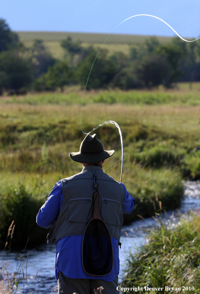 Flyfisherman landing rainbow trout